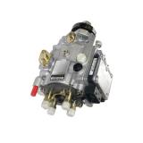 1x Bosch Pompe Carburant Électrique 0580464096 [3165143982051]