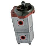 1x Bosch Pompe Carburant Électrique 9580234005 [3165142529080]