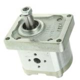 Hydraulique pompe à engrenages BOSCH REXROTH 0 510 565 387