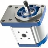 Hydraulique pompe à engrenages BOSCH REXROTH 0 510 665 093