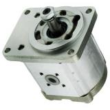 Bosch 0510225006 Pompe à Engrenage 4,0 Ccm ,Bride Tournant à Droite Léger Beschä
