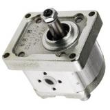 Hydraulique pompe à engrenages BOSCH REXROTH 0 510 625 362