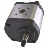 Hydraulique pompe à engrenages BOSCH REXROTH 0 510 645 300